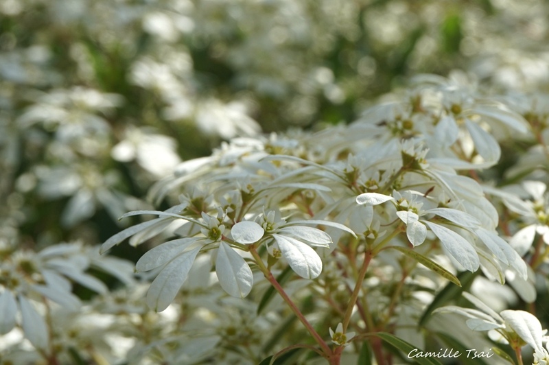 DSC09276.jpg DSC09276.jpg