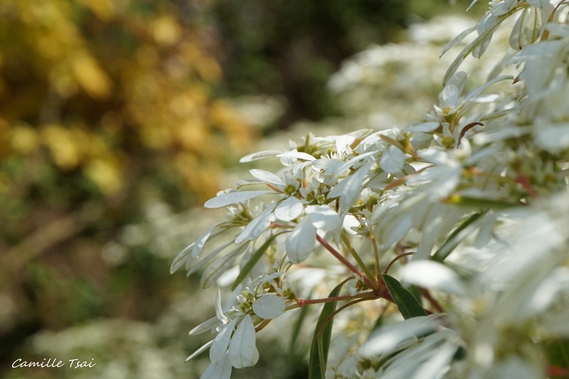 DSC09280.jpg DSC09280.jpg