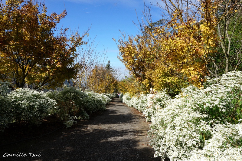 DSC09284.jpg DSC09284.jpg