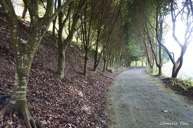 DSC09297.jpg DSC09297.jpg