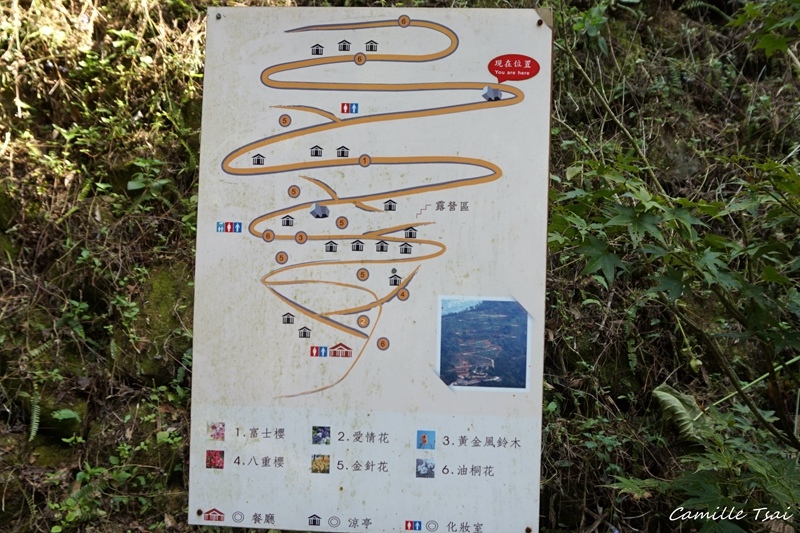 DSC09302.jpg DSC09302.jpg