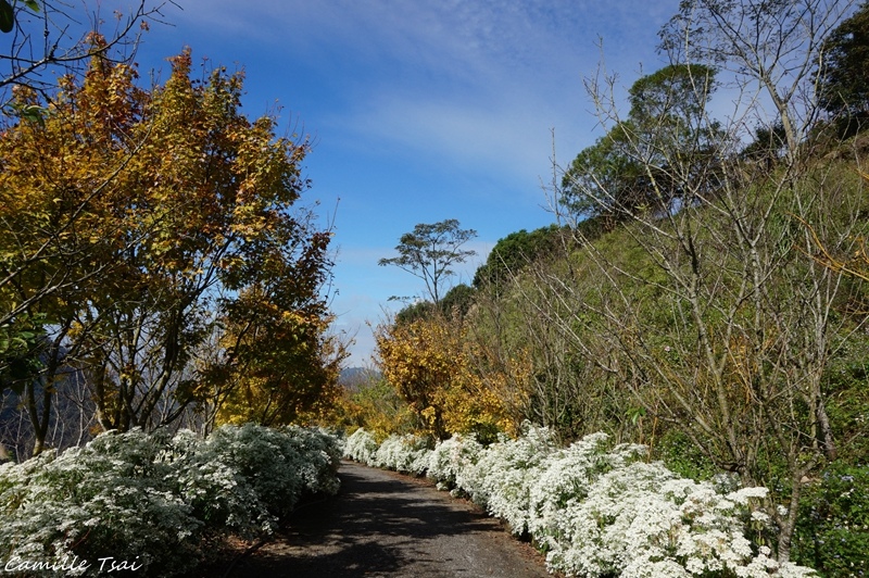 DSC09303.jpg DSC09303.jpg