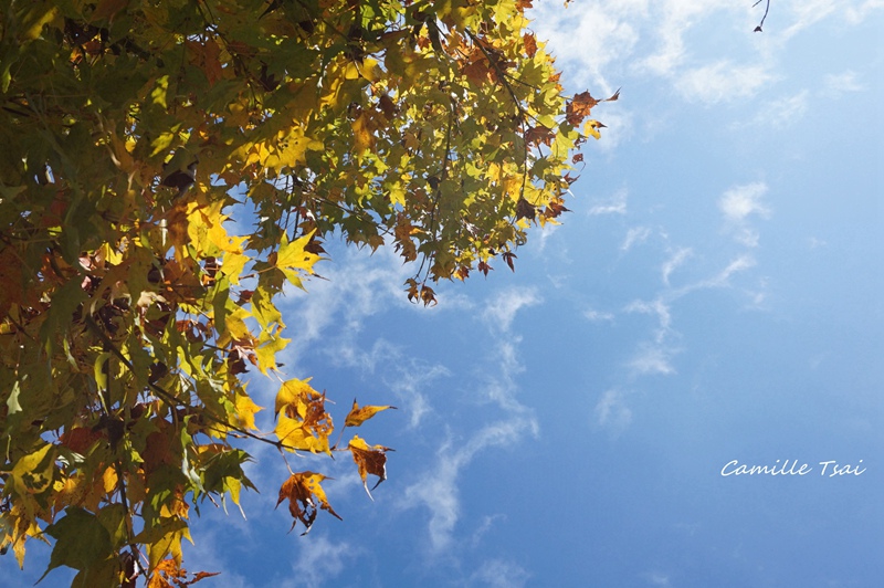 DSC09304.jpg DSC09304.jpg