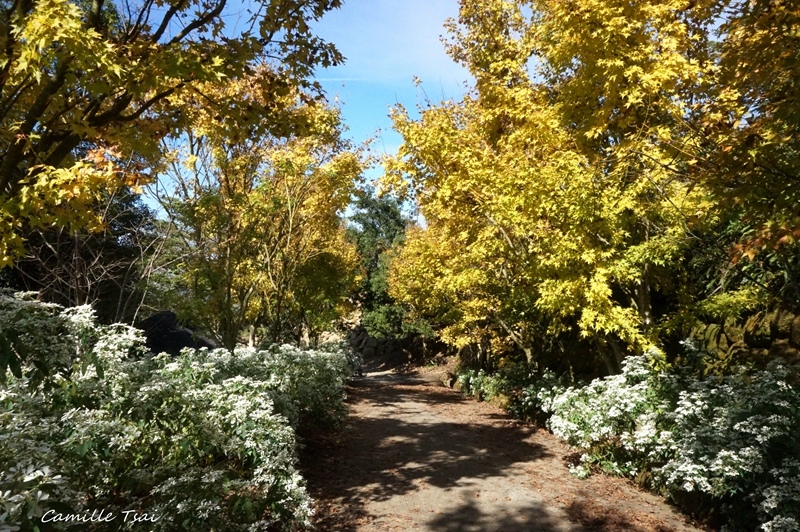 DSC09344.jpg DSC09344.jpg