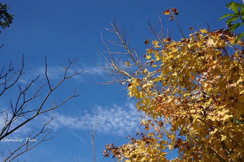 DSC09368.jpg DSC09368.jpg