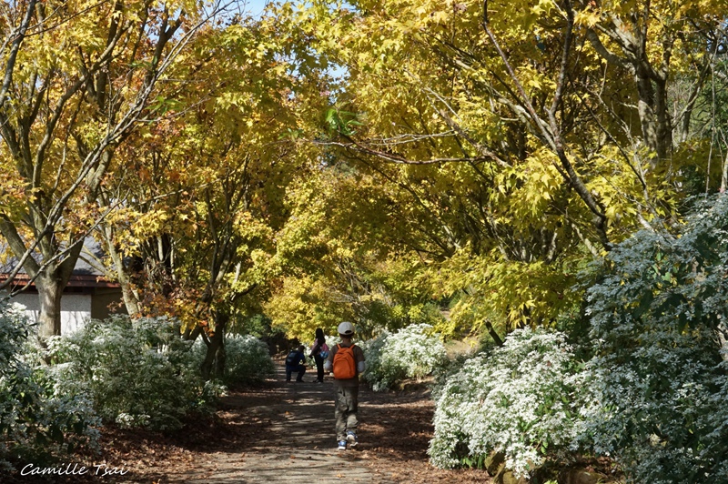 DSC09369.jpg DSC09369.jpg