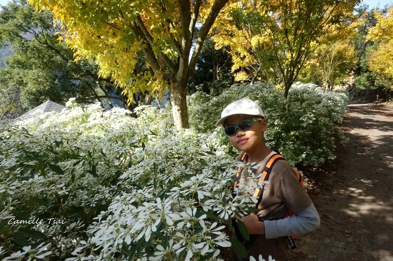 DSC09370.jpg DSC09370.jpg