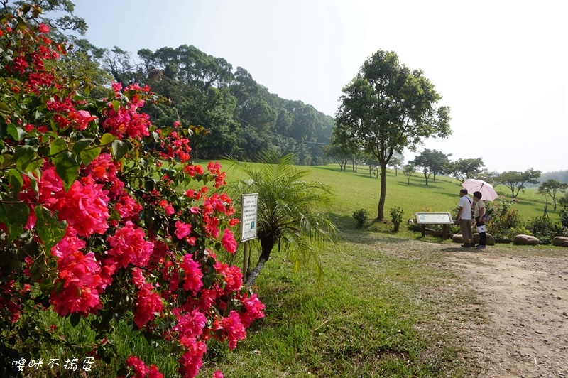 DSC08325.jpg DSC08325.jpg