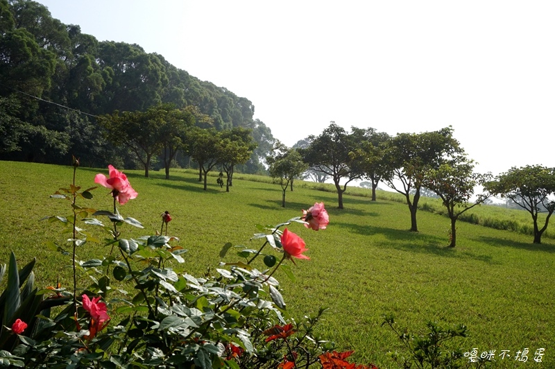 DSC08327.jpg DSC08327.jpg