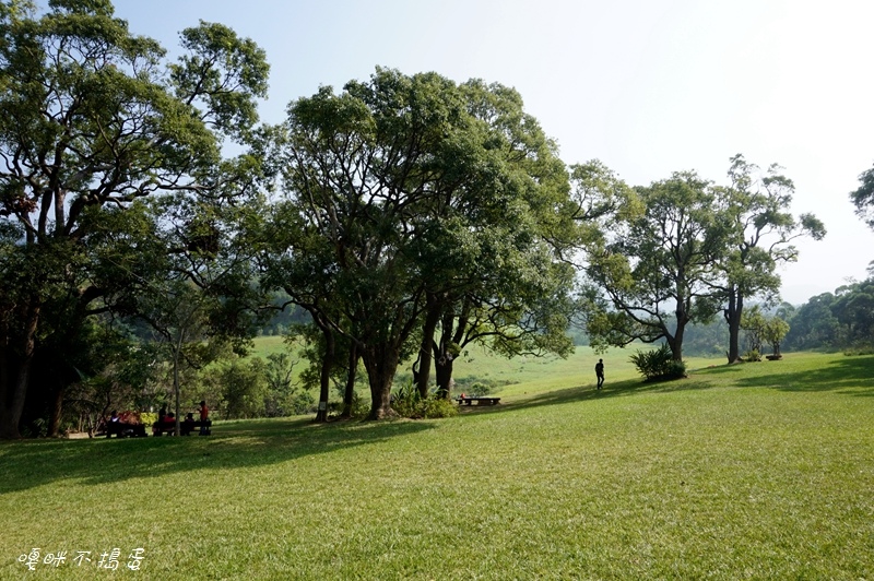 DSC08339.jpg DSC08339.jpg