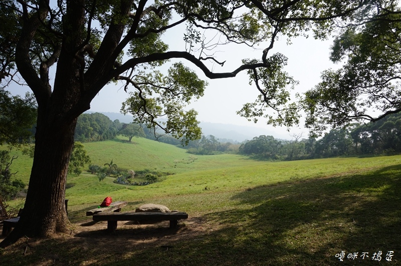 DSC08341.jpg DSC08341.jpg