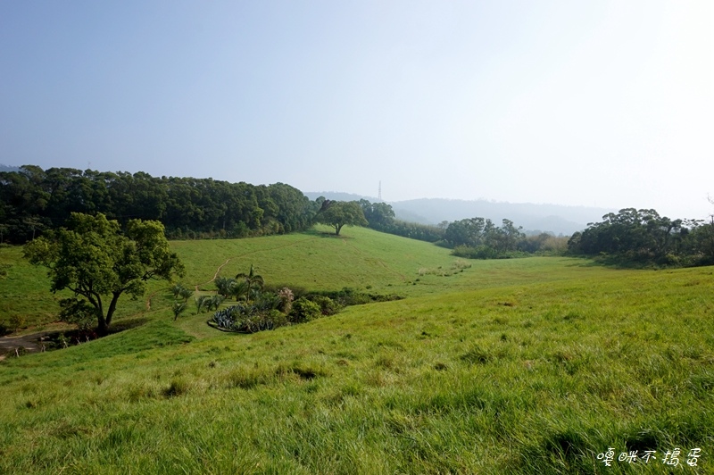 DSC08351.jpg DSC08351.jpg