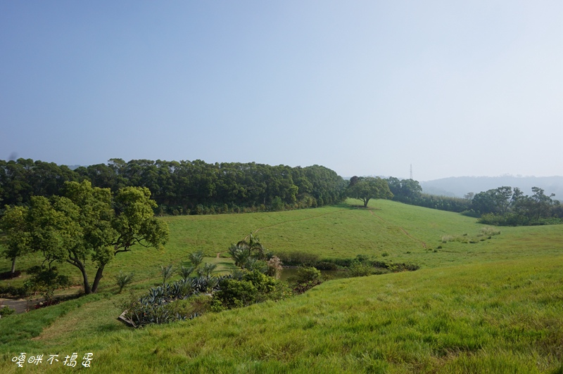 DSC08352.jpg DSC08352.jpg