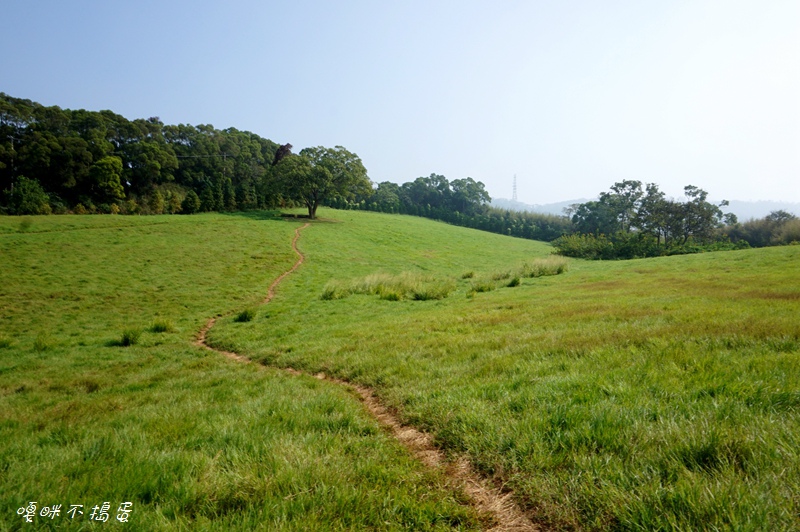 DSC08357.jpg DSC08357.jpg