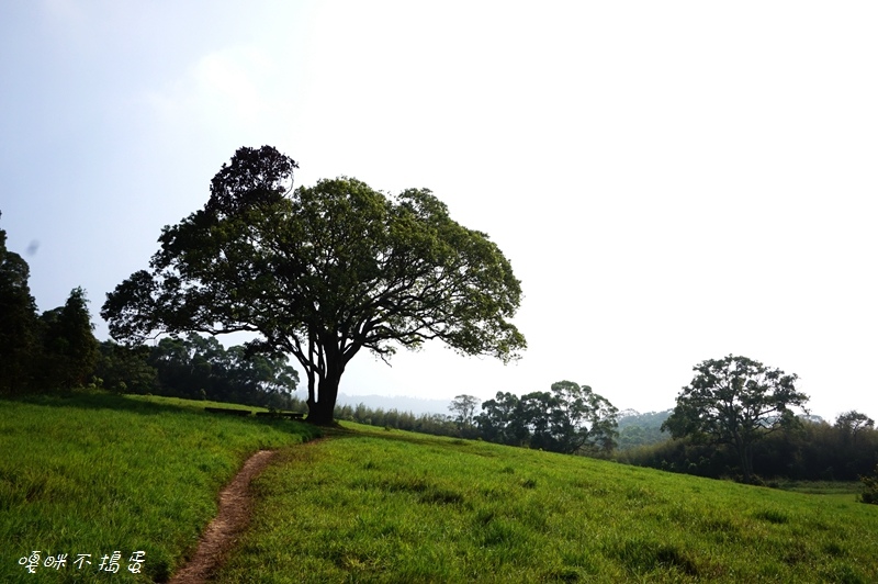 DSC08387.jpg DSC08387.jpg