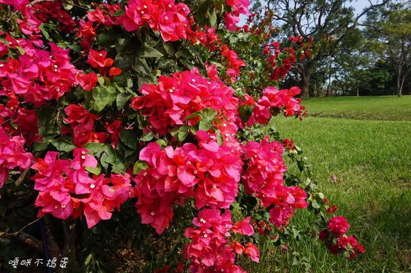 DSC08405.jpg DSC08405.jpg