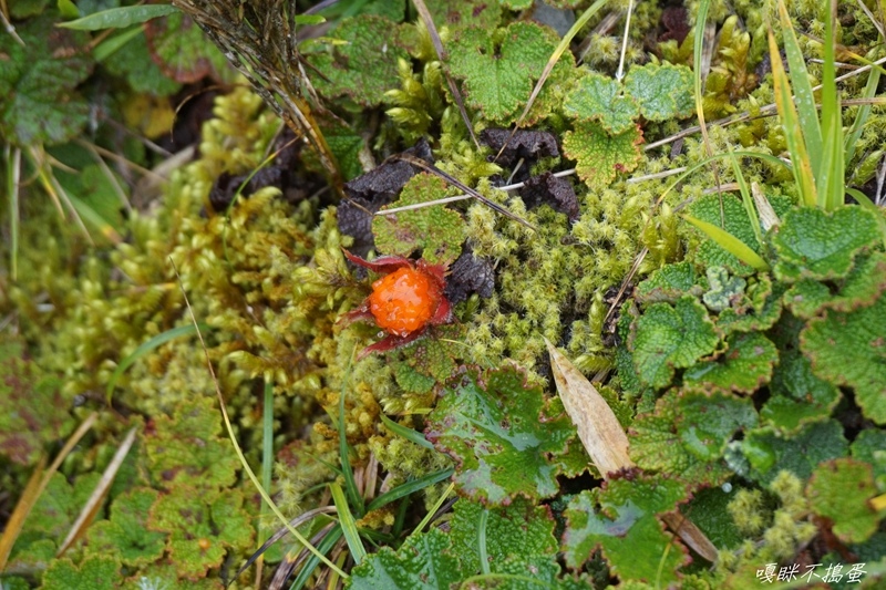 DSC01588.jpg DSC01588.jpg