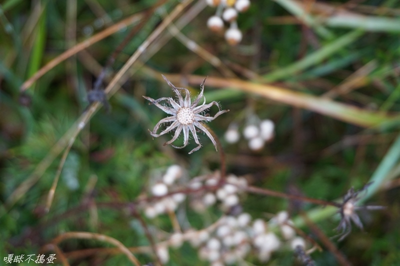 DSC01591.jpg DSC01591.jpg