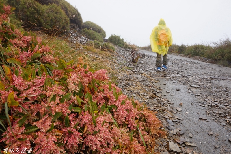 DSC01597.jpg DSC01597.jpg