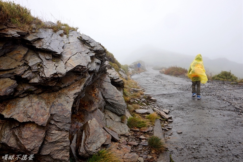 DSC01601.jpg DSC01601.jpg