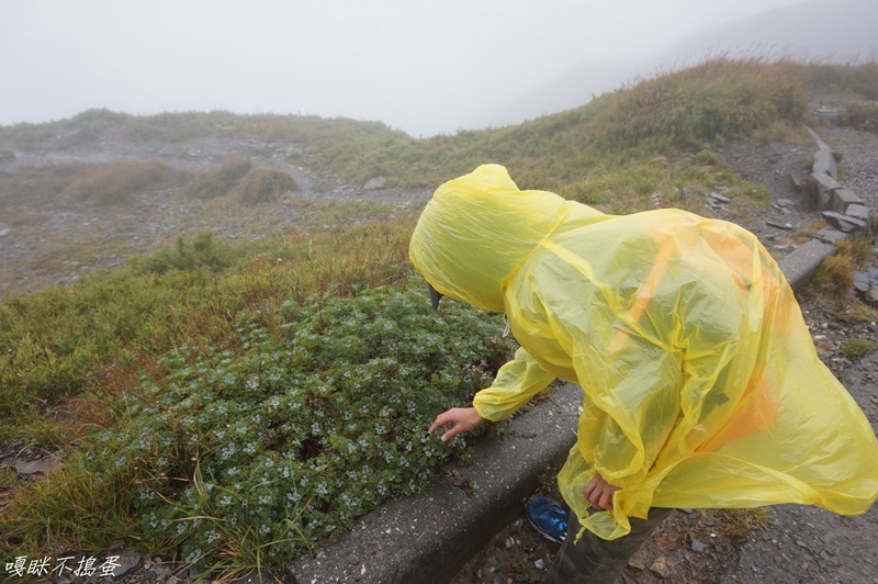 DSC01605.jpg DSC01605.jpg