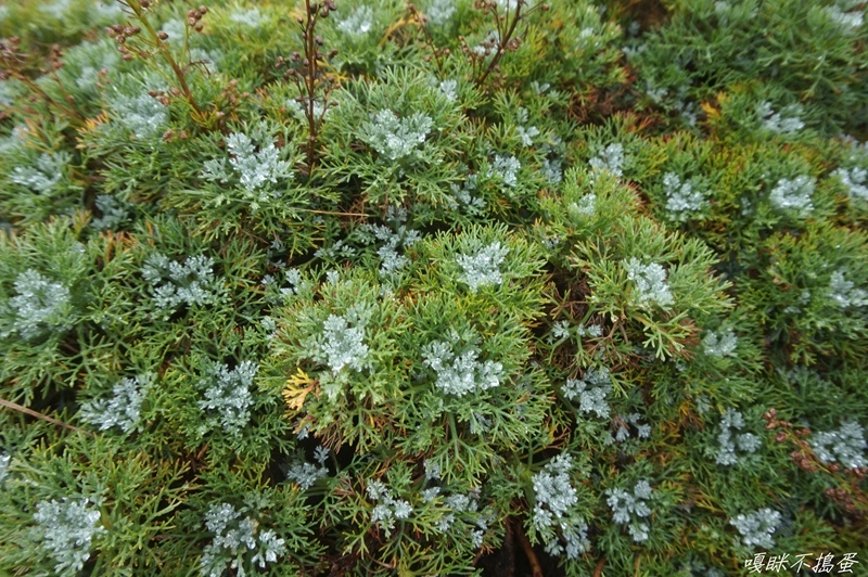 DSC01606.jpg DSC01606.jpg