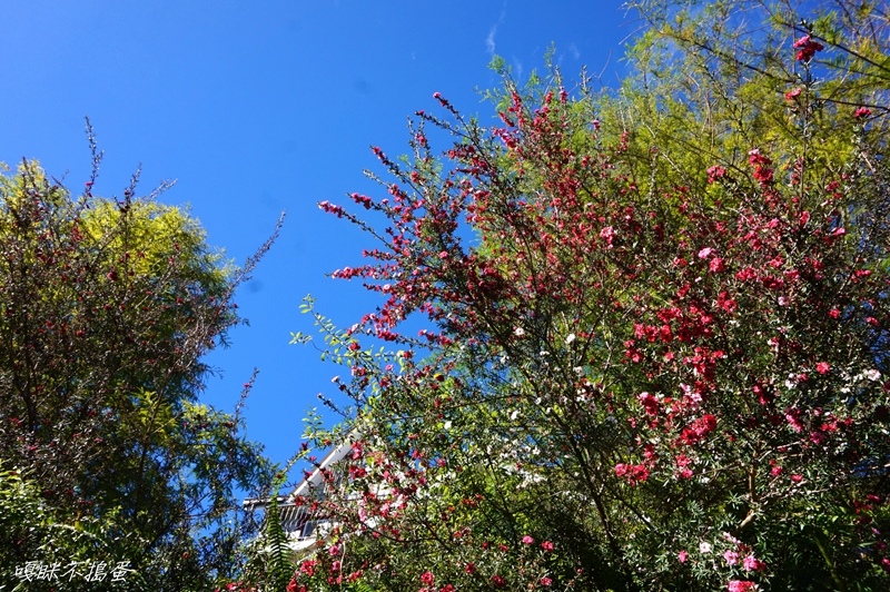 DSC01810.jpg DSC01810.jpg