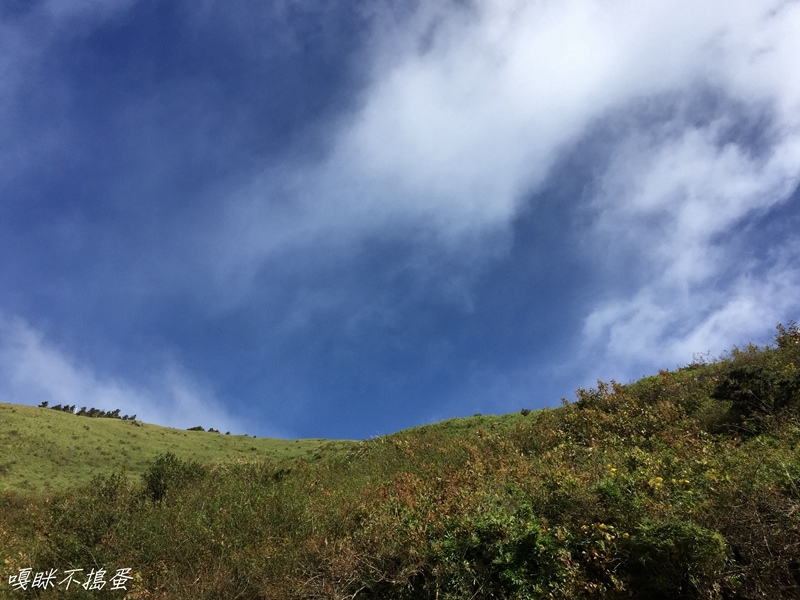 IMG_6516.jpg IMG_6516.jpg