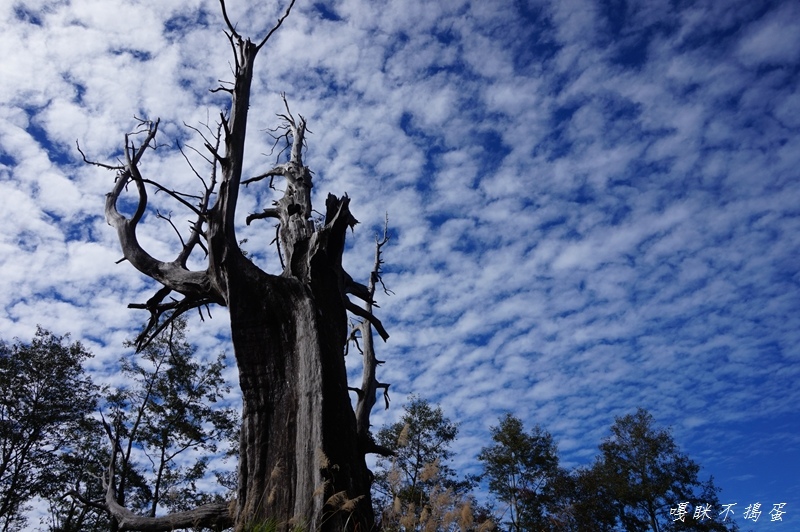 DSC00349.jpg DSC00349.jpg