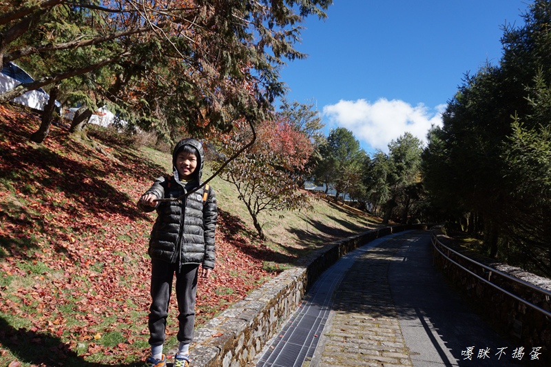 DSC00416.jpg DSC00416.jpg