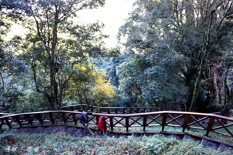 DSC00500.jpg DSC00500.jpg