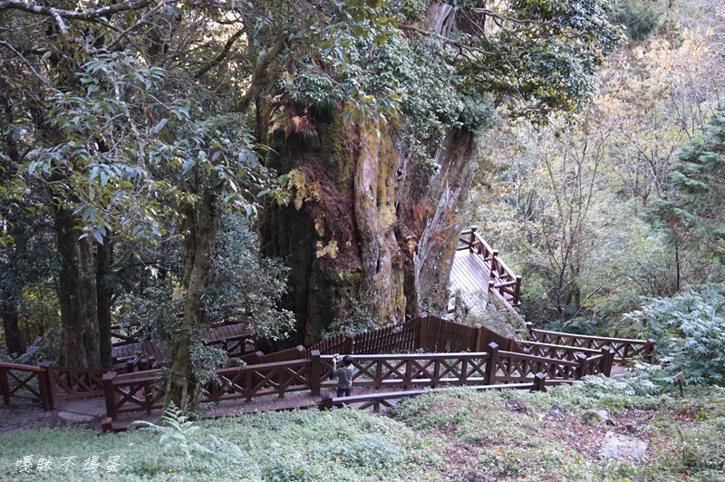 DSC00502.jpg DSC00502.jpg