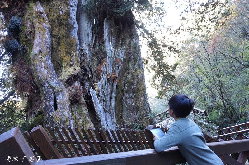 DSC00508.jpg DSC00508.jpg