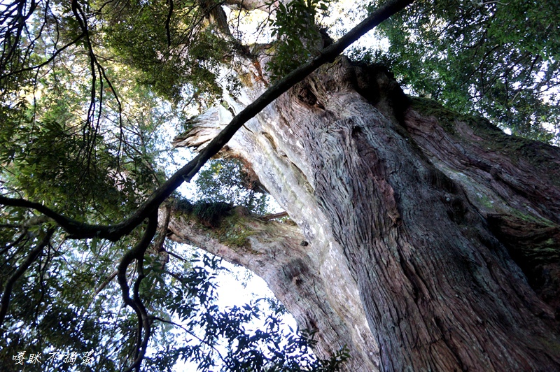 DSC00528.jpg DSC00528.jpg