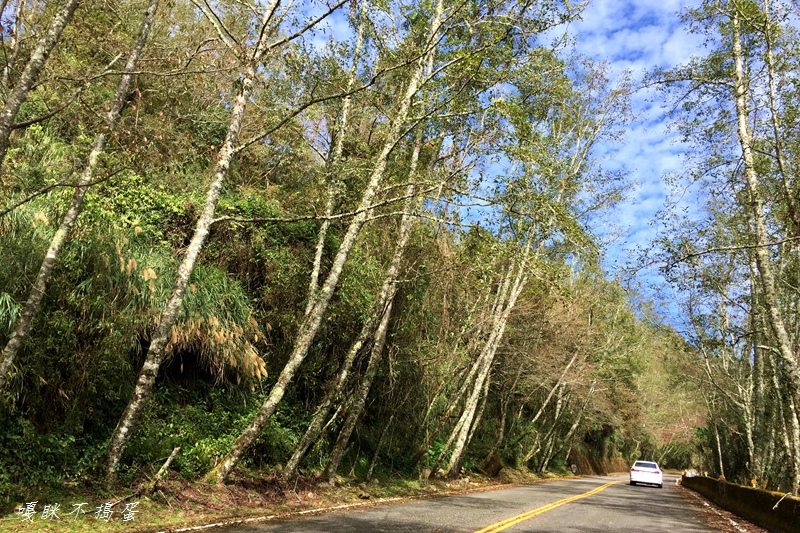 IMG_9312.jpg IMG_9312.jpg