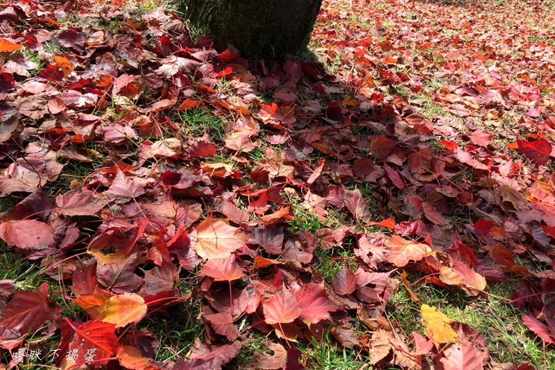 IMG_9323.jpg IMG_9323.jpg