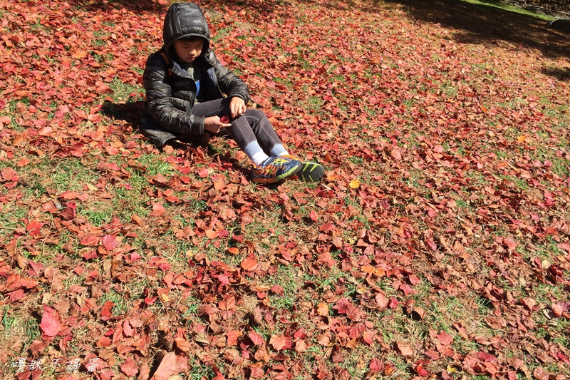 IMG_9333.jpg IMG_9333.jpg