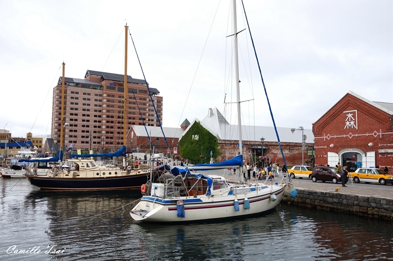 DSC07917.jpg DSC07917.jpg