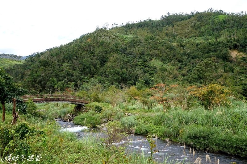 DSC00287.jpg DSC00287.jpg