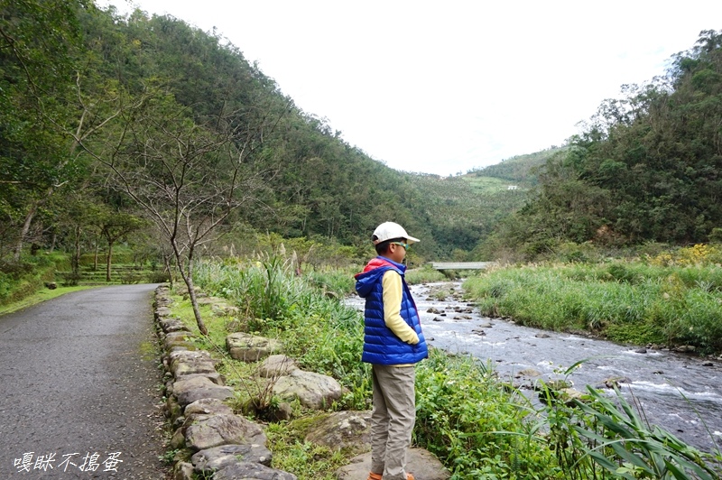 DSC00310.jpg DSC00310.jpg