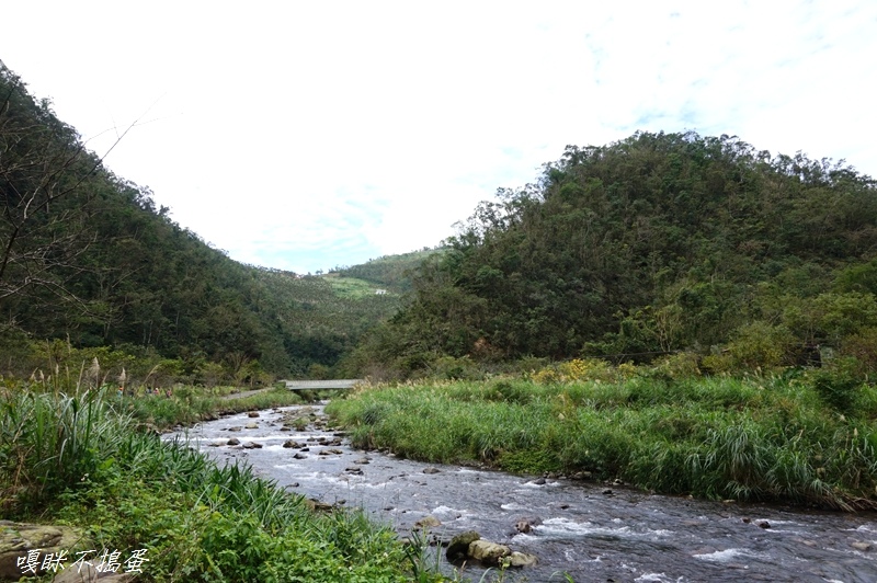 DSC00312.jpg DSC00312.jpg