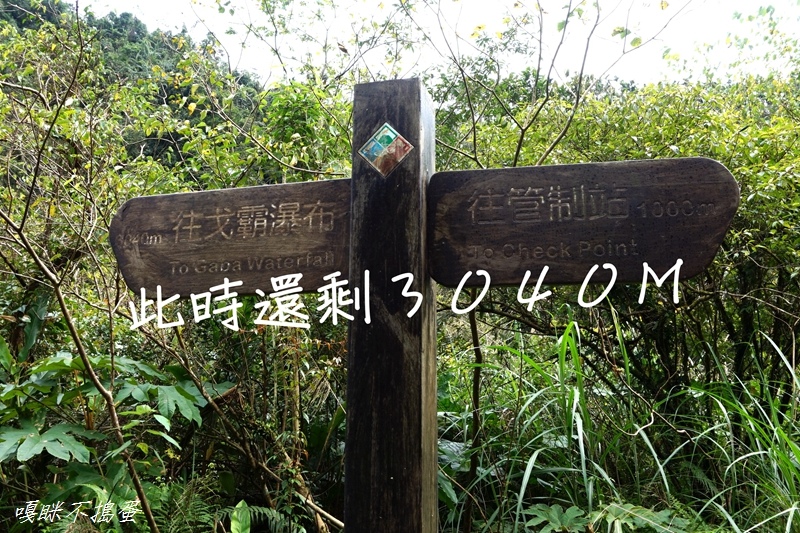 DSC00339.jpg DSC00339.jpg