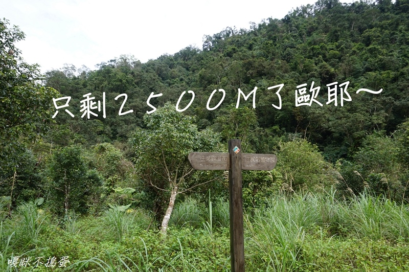 DSC00352.jpg DSC00352.jpg