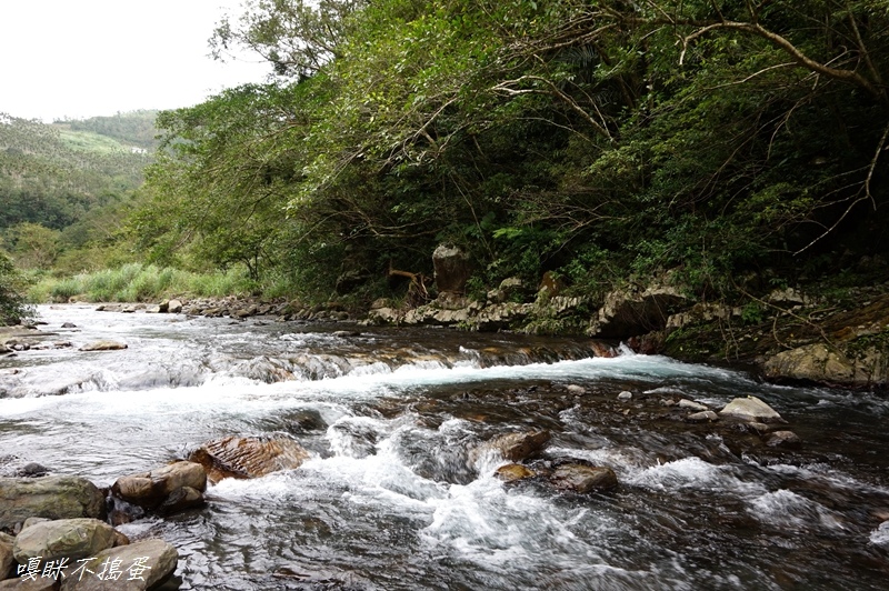 DSC00394.jpg DSC00394.jpg