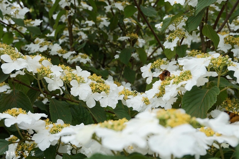 DSC04866.jpg DSC04866.jpg