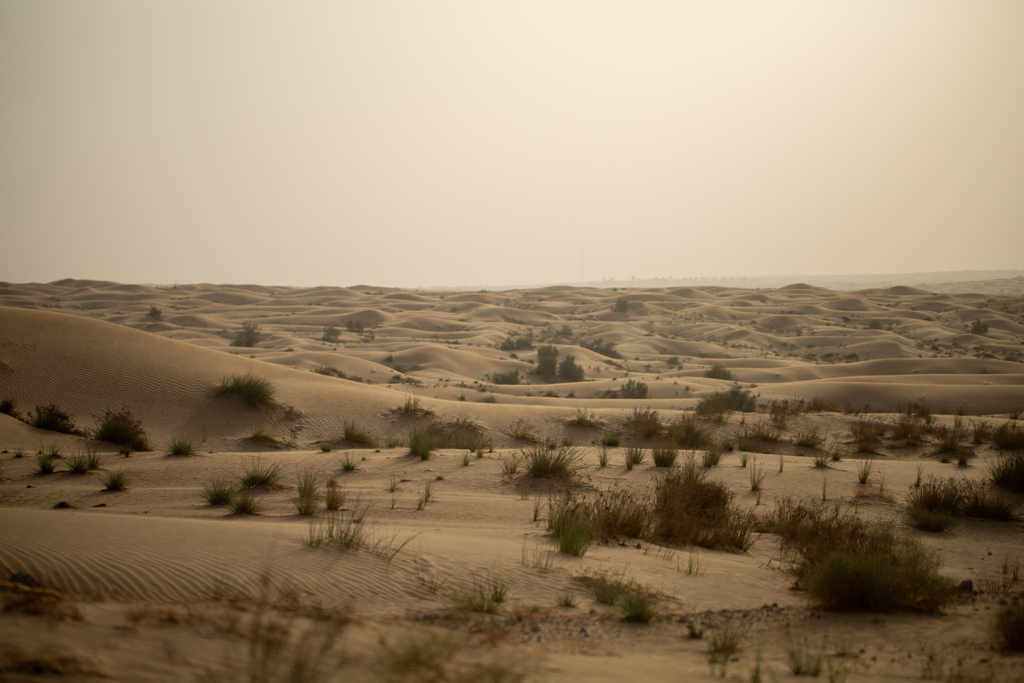 Day 2。杜拜豪華沙漠渡假村Al Maha, a Luxu