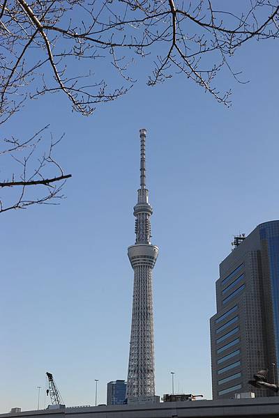 2017 東京 | 從淺草雷門到清澄白河