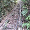 非常陡的軌道...速度再快一點就像雲霄飛車了