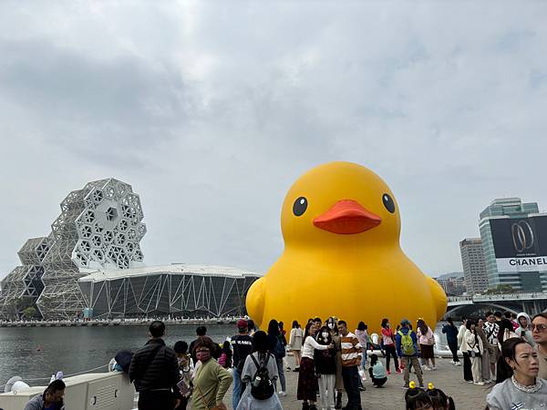 2024年初一散步去(黃色小鴨.月津港) 2024年初一散步去(黃色小鴨.月津港)