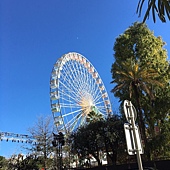 IMG_9512.JPG